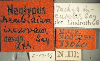 Media type: image;   Entomology 33060 Aspect: labels